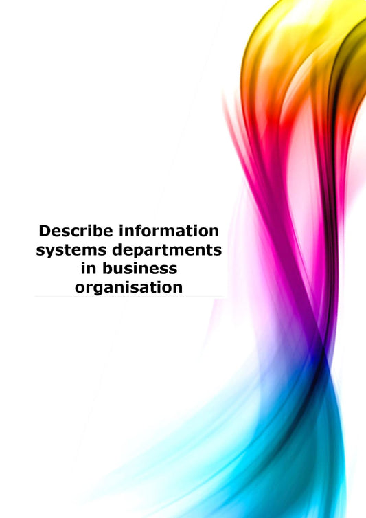 Describe information systems departments in business organisations