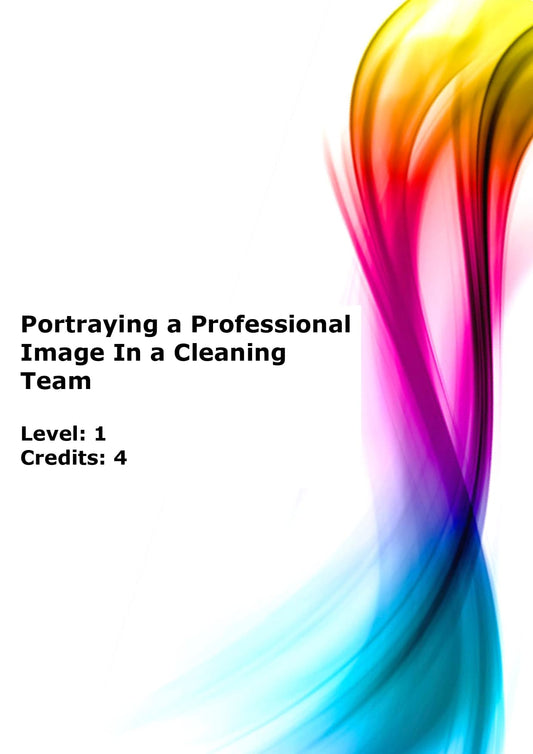 Maintain effective work relationships in a cleaning environment US