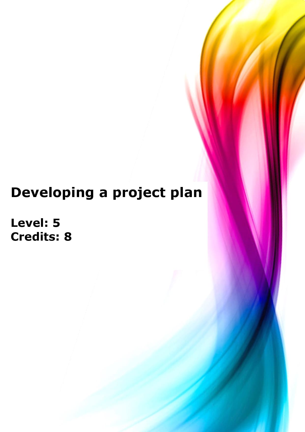 Develop, implement and evaluate a project plan US – Rise Coaching